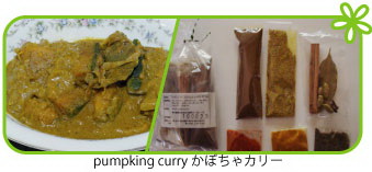 Pumpking Curry